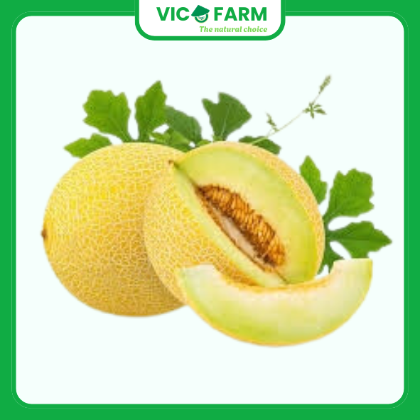 Dưa Lưới Tròn ruột cam