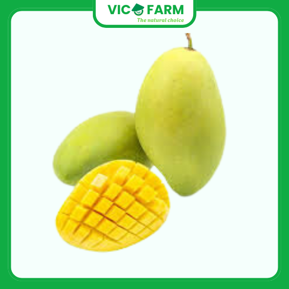 Xoài Cát Hòa Lộc L1