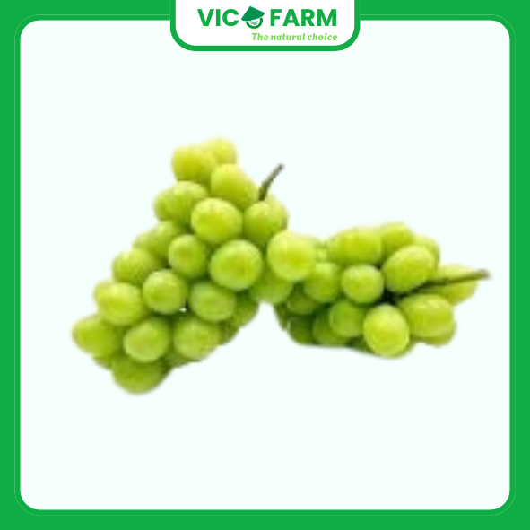 Nho Mẫu Đơn 500gr