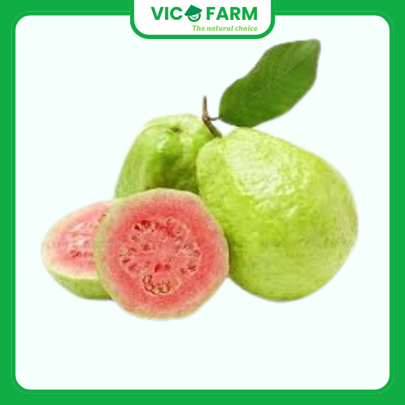 Ổi Ruby Ruột Đỏ