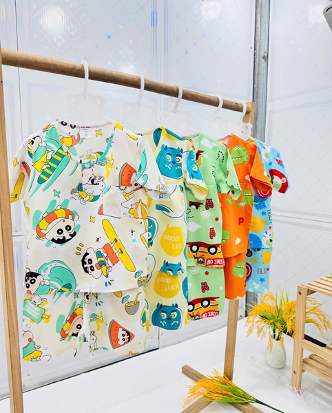 Combo 5 Bộ Tle Lanh - Tay Ngắn Quần Ngắn Bé Trai TH23