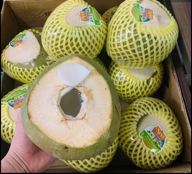 Dừa Quả 生ココナツ