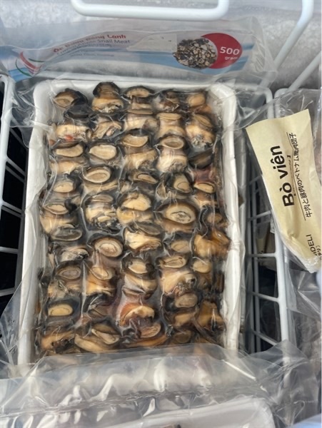 Thịt Ốc Đông Lạnh/ Frozen Apple Snail Meat