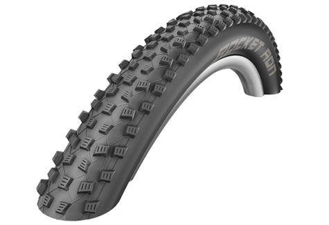 SWB TIRE, 29x2.25 RACING RAY, FLD, TLR