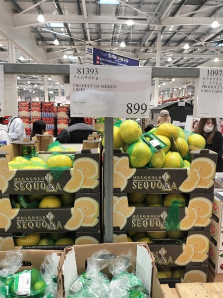 TÚI CHANH XANH COTSCO/ライム