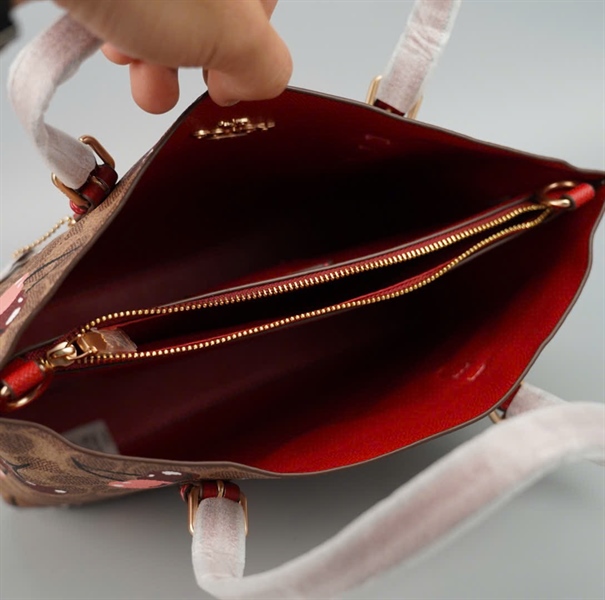 Túi Coach nâu họa tiết trái chery +