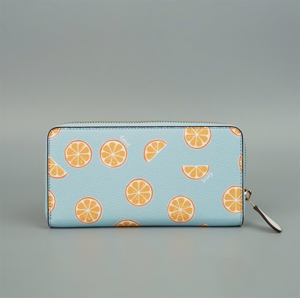 Ví Coach xanh họa tiết +