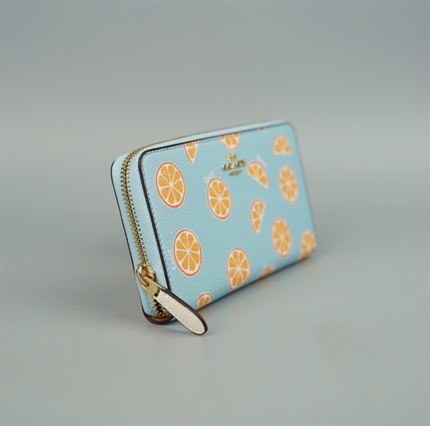 Ví Coach xanh họa tiết +