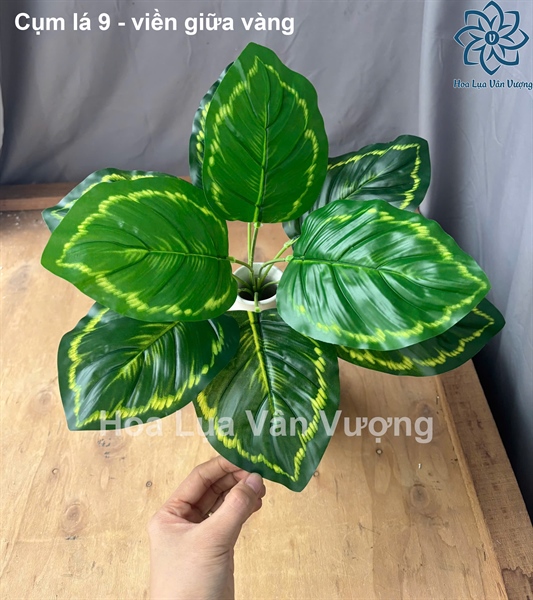 Cụm lá 9 - viền giữa vàng - Lá cành ngắn - Hoa Lụa Vân Vượng