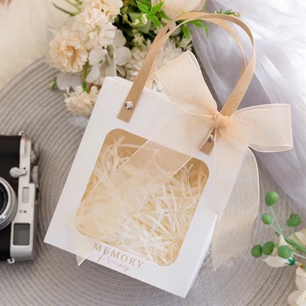 TÚI NHỰA MICA QUAI CÓI 18X18X9