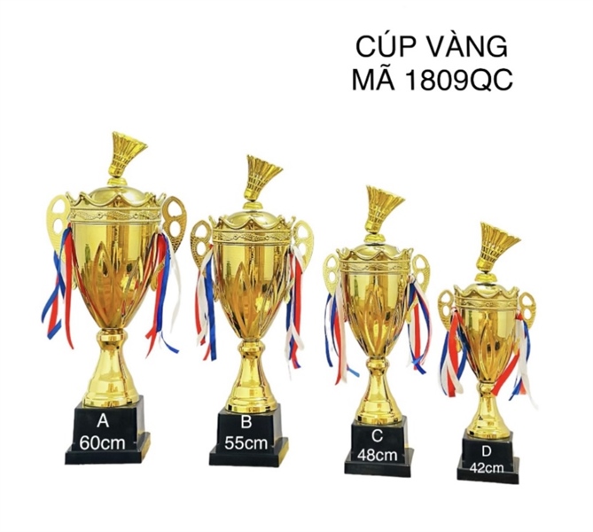 Cúp Vàng Kaiwin 1809QC