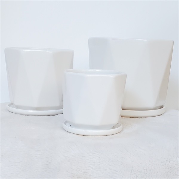 CHẬU CÓ ĐĨA CDTX26070