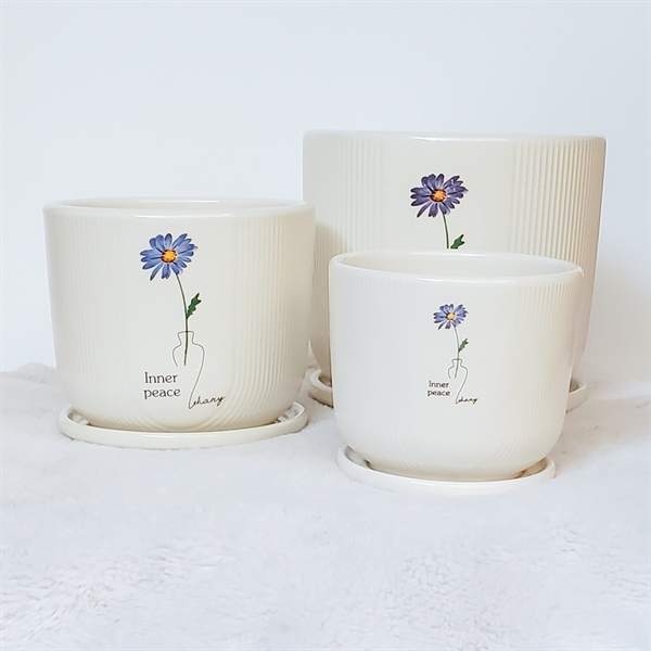 CHẬU CÓ ĐĨA CDTX3249471