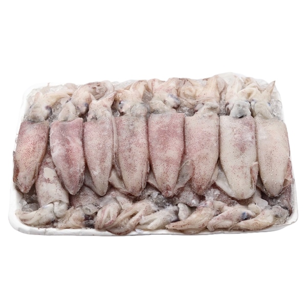 Mực Trứng 14-17 con