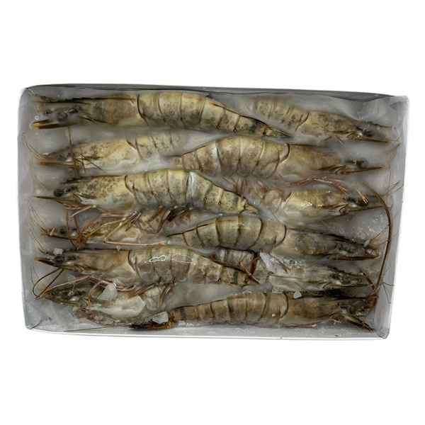 Tôm Sú Đông Lạnh 10C 1H