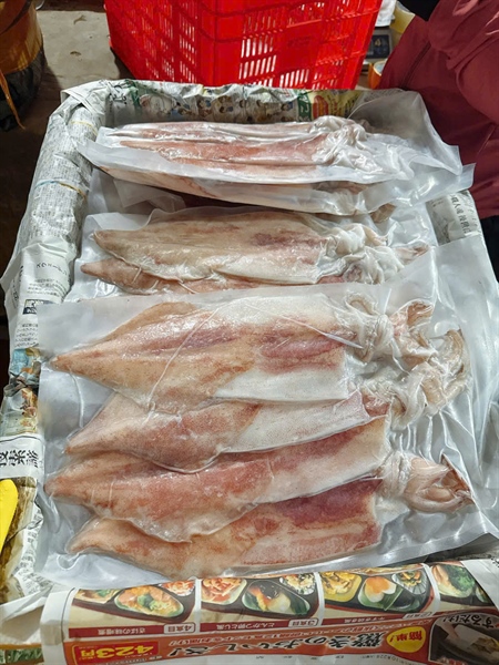 Mực Một Nắng 4C