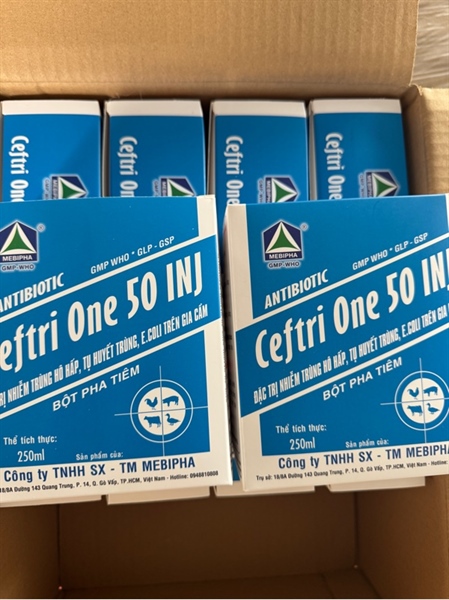Ceptione inj 250ml