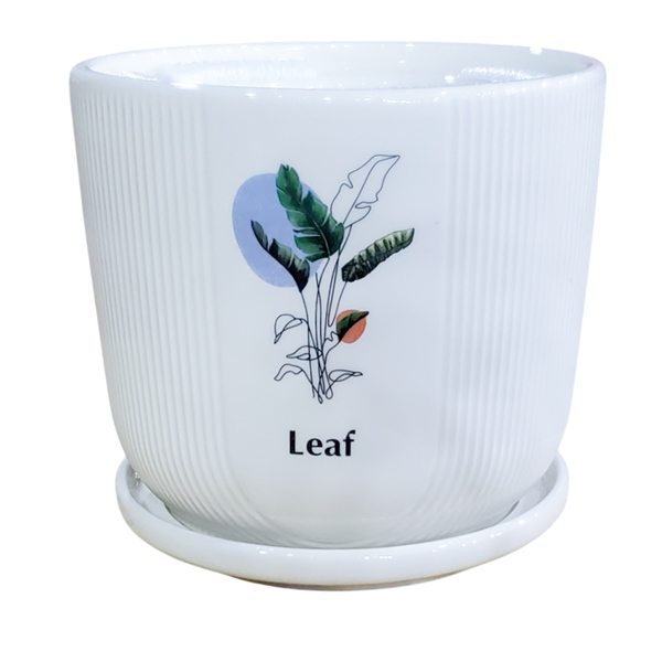 CHẬU CÓ ĐĨA CDTX3249472