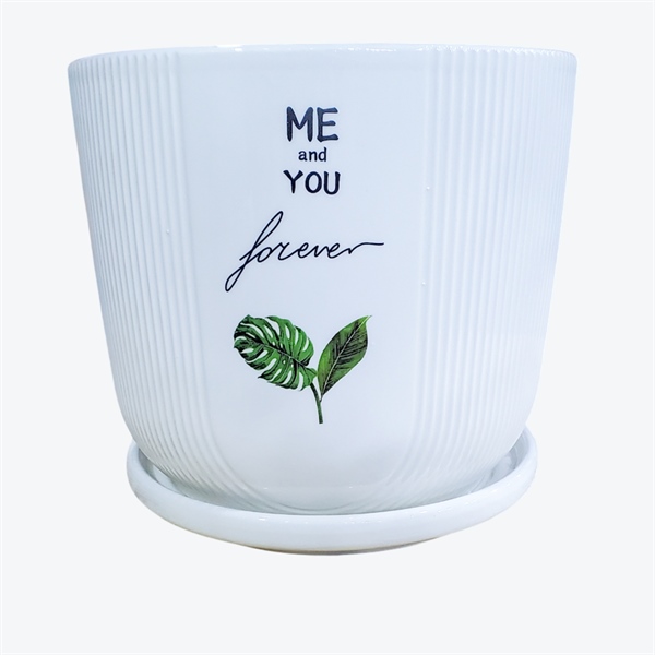 CHẬU CÓ ĐĨA CDTX3249470