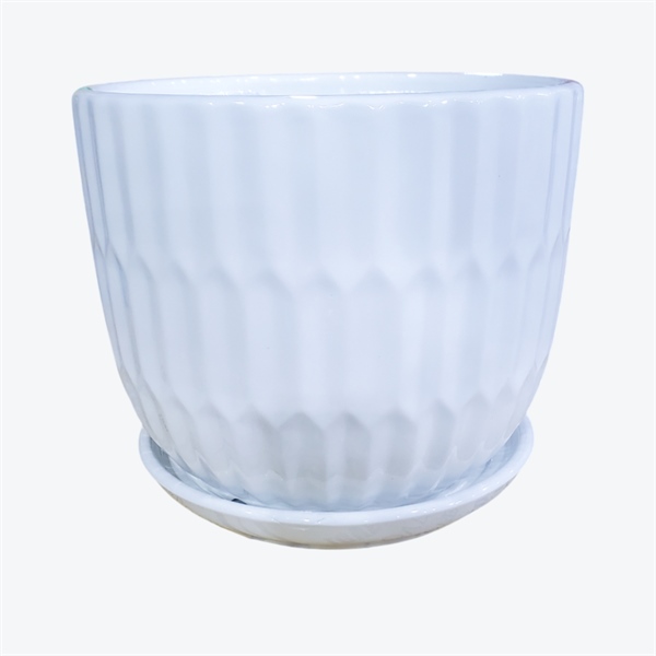 CHẬU CÓ ĐĨA CDTX26026