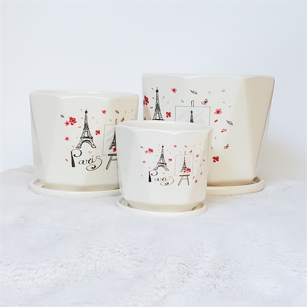 CHẬU CÓ ĐĨA CDTX37321