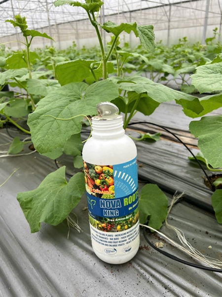 Phân bón hữu cơ ASZ HC20 (Nova King Roots)