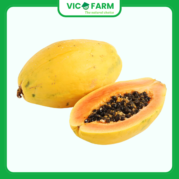 Đu Đủ Chín R.Vàng