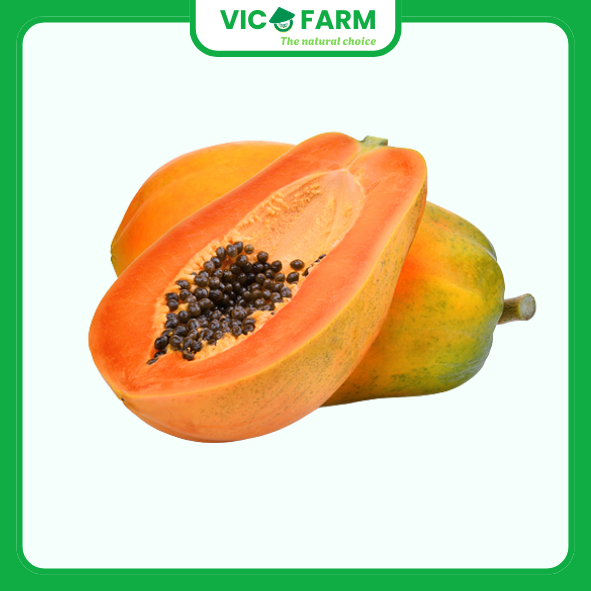 Đu Đủ Chín Đỏ giống Nhật