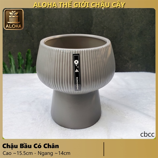 CHẬU BẦU CÓ CHÂN (CAO 15.5CM x NGANG 14CM) THÙNG 36 CÁI