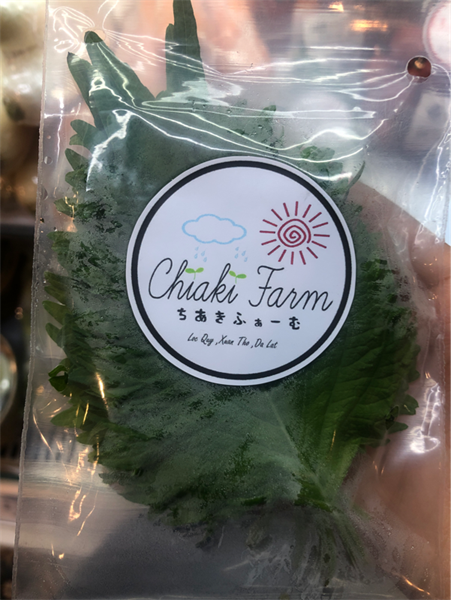 Chiaki Lá Oba 大葉