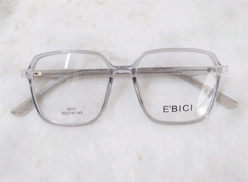 Kính Nhựa mix Kim loại EBICI 5011