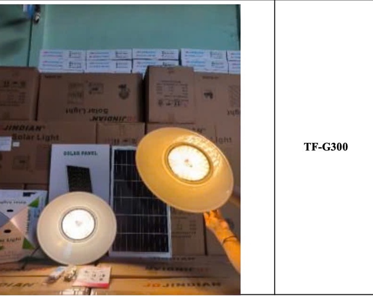 Đèn NLMT TF-G300 300w