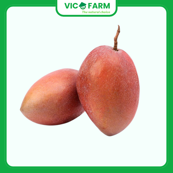 Xoài Đài Loan (Baby)