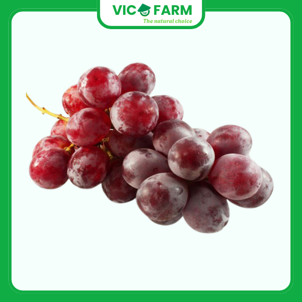 Nho Đỏ Có Hạt