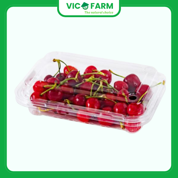 Dâu Tây Hàn Quốc 1 hop .