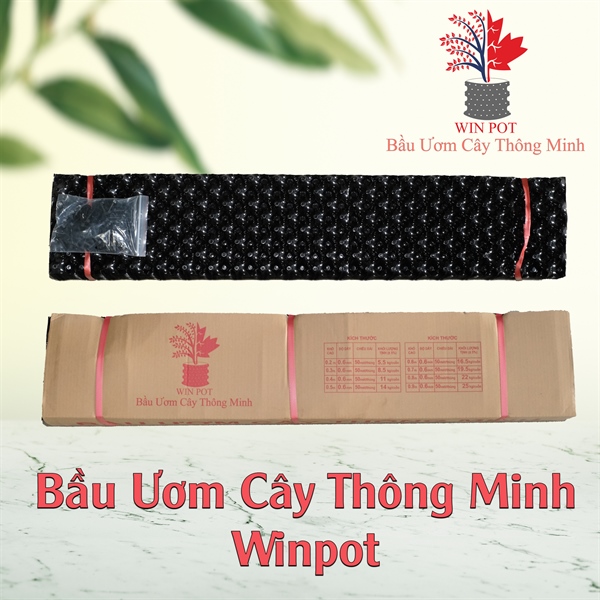 Bầu ươm cây thông minh Winpot 10cm