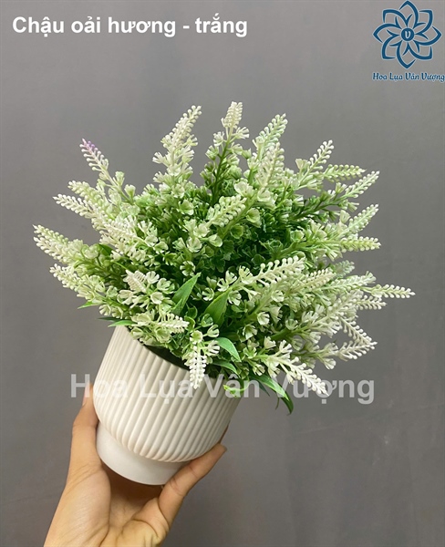 Chậu oải hương - Chậu để bàn - Hoa Lụa Vân Vượng