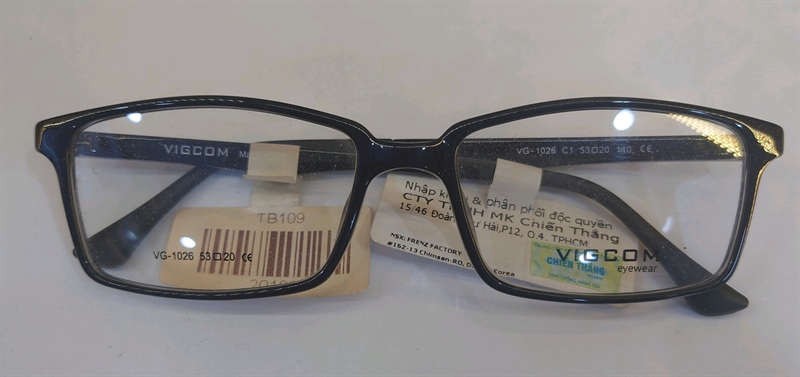 Kính Nhựa VIGCOM VG1026