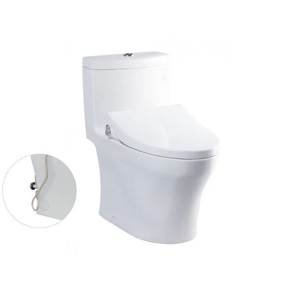 Bàn cầu một khối MS889DRE4 (TCW1211A)