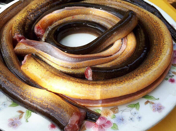 Lươn Cắt Khúc