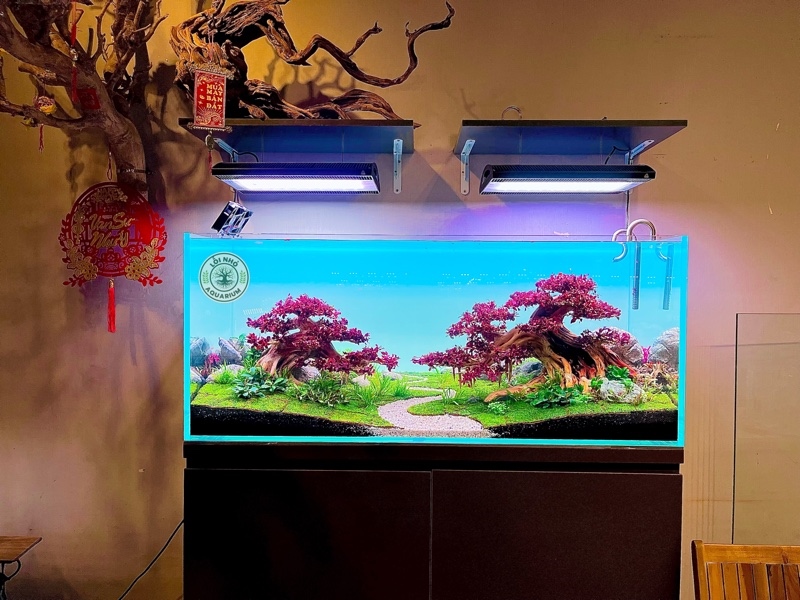 Hồ 1m2x50x50