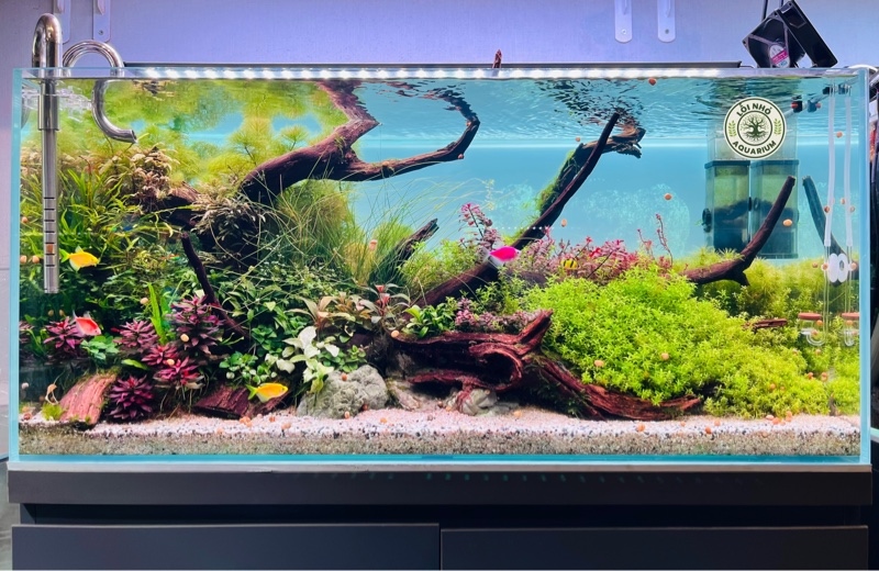 Hồ 90x45x45