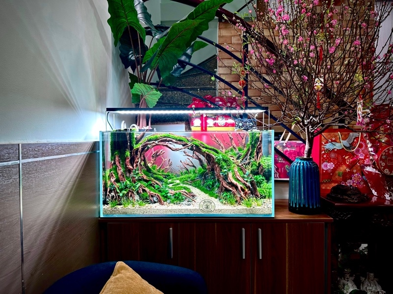 Hồ size 90x50x50