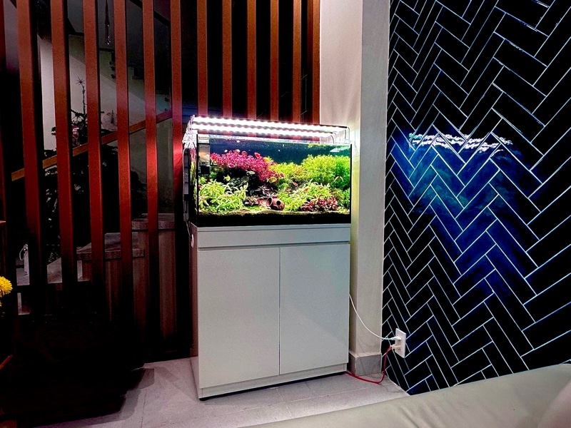 Hồ size 90x45x45