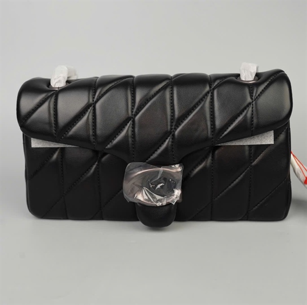Túi Coach đen sz26 +