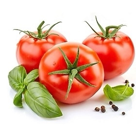 Cà chua (トマト）/hộp バック