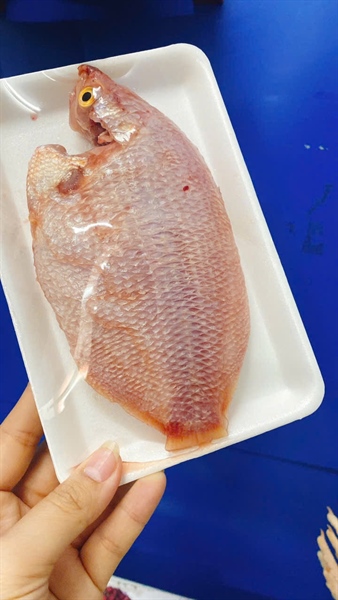 Cá Mùi ( Hường ) Sông To