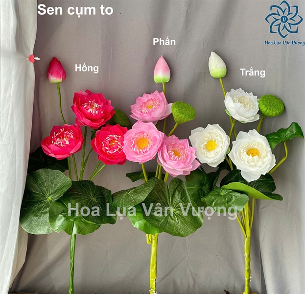 Sen cụm to - Sen - Hoa Lụa Vân Vượng