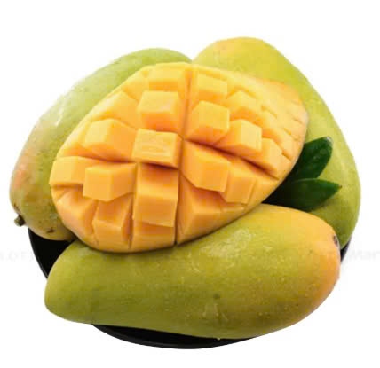Xoài cát Hòa Lộc size lớn - The sweetest mango
