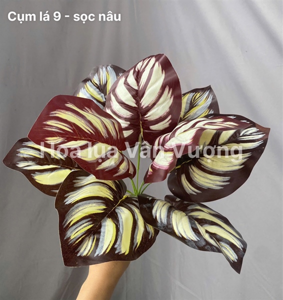 Cụm lá 9 - sọc nâu - Lá cành ngắn - Hoa Lụa Vân Vượng